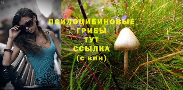 крисы Аркадак