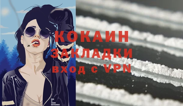 крисы Аркадак