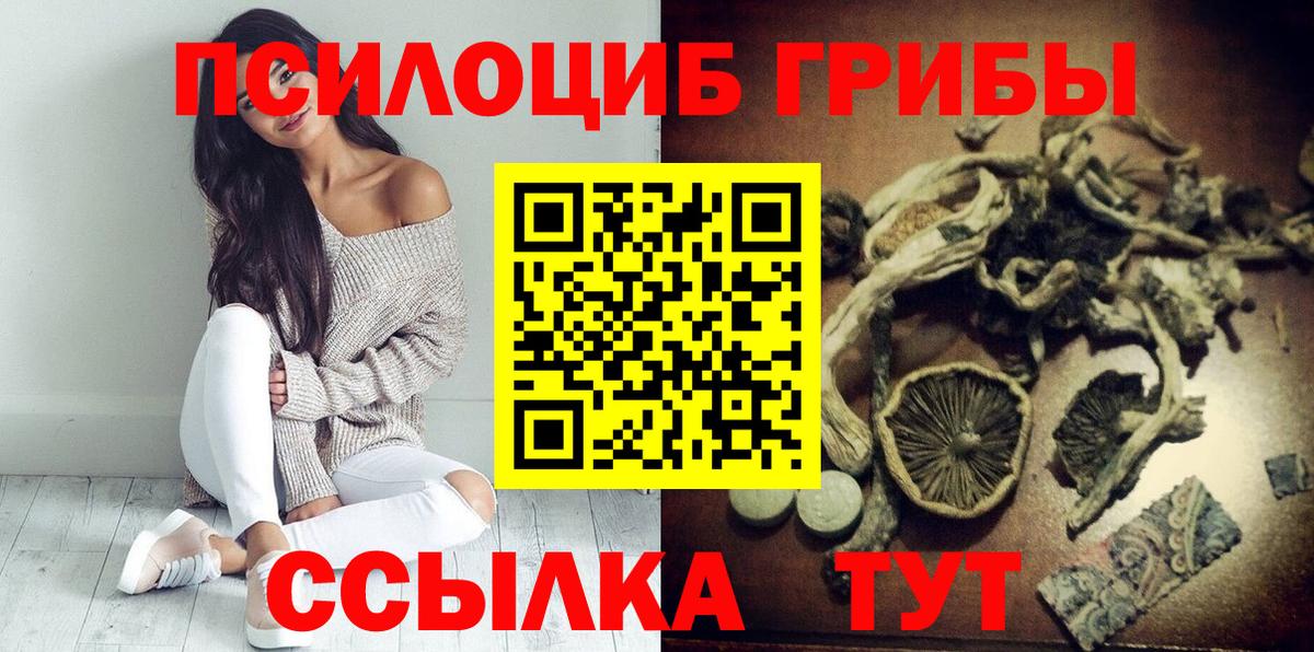 Галлюциногенные грибы Psilocybine cubensis  Вход с VPN  Еманжелинск 