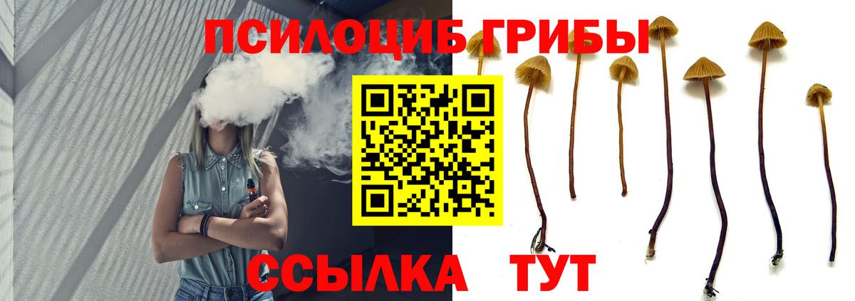Псилоцибиновые грибы Magic Shrooms Еманжелинск